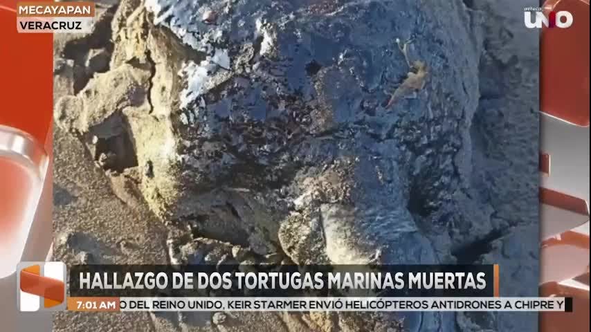 Noticias Veracruz del 4 de marzo 2026