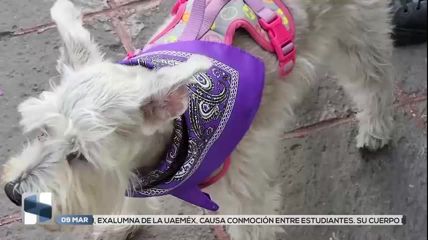 Noticias Querétaro del 9 de marzo 2026