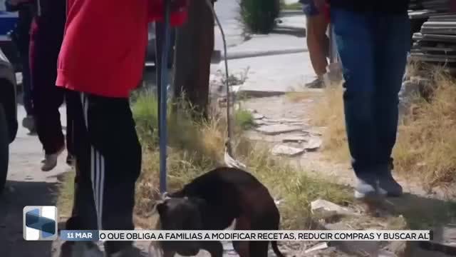 Noticias San Luis Potosí del 11 de marzo 2026