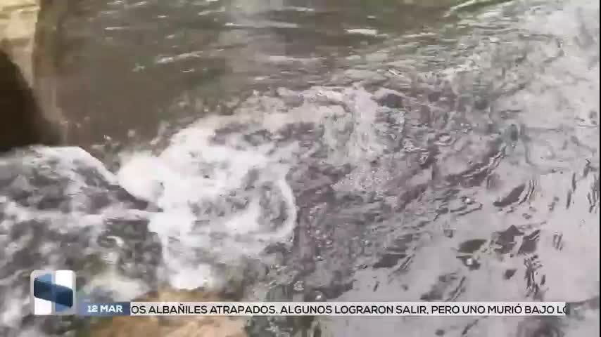 Noticias San Luis Potosí del 12 de marzo 2026