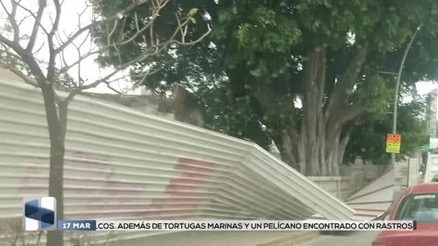 Noticias Oaxaca del 17 de marzo 2026