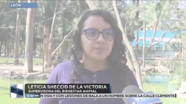 Noticias Bajío del 17 de marzo 2026