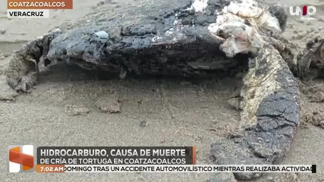 Noticias Veracruz del 20 de marzo 2026
