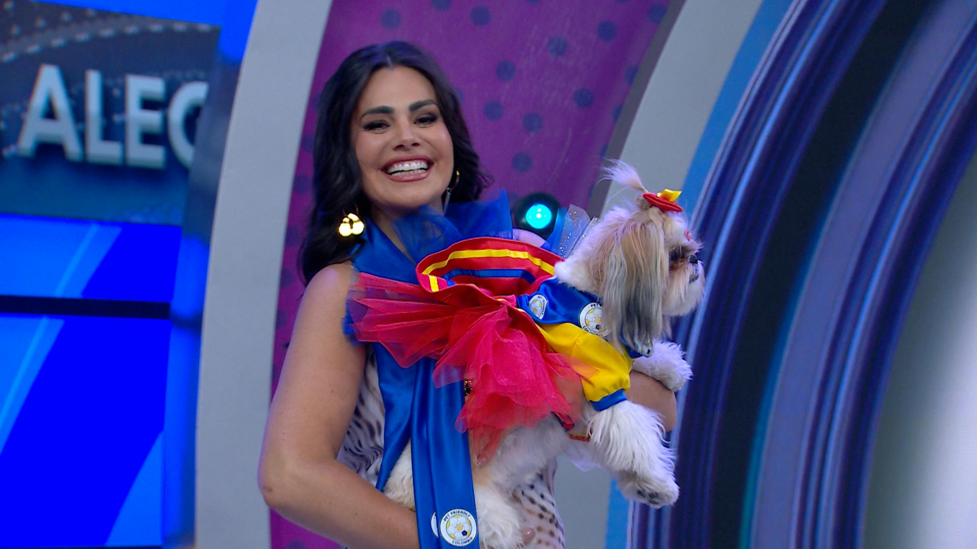 ¡Irresistibles! Checa esta pasarela de perritos con playeras de futbol