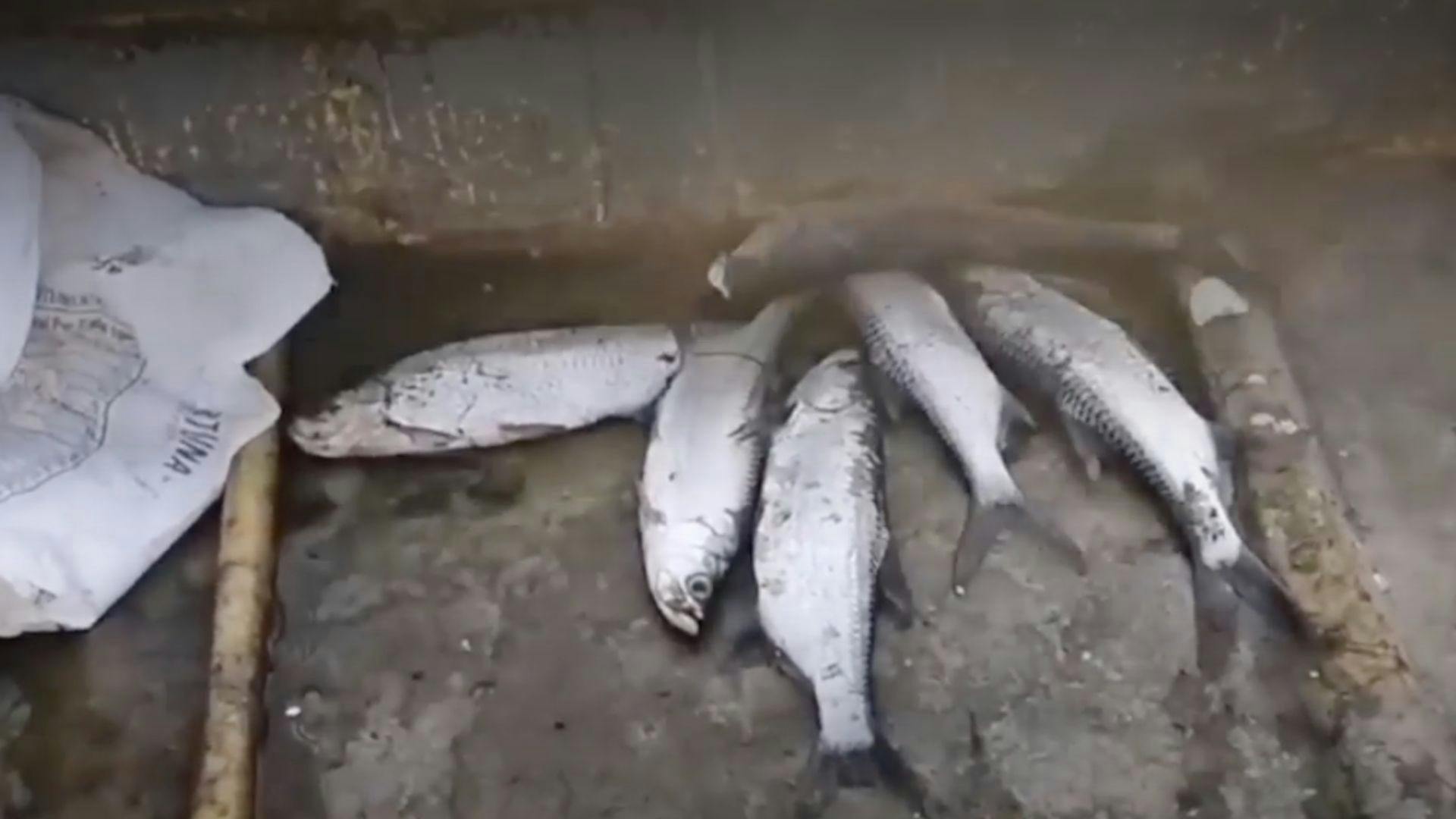 Noticias Veracruz del 24 de marzo 2026