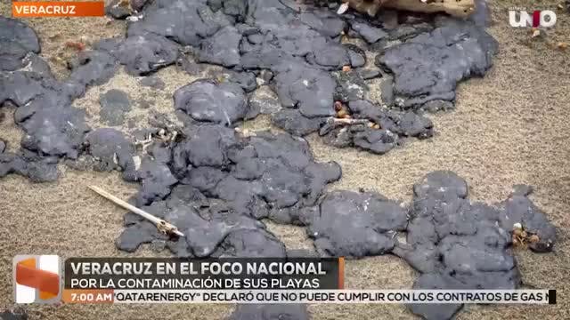 Noticias Veracruz del 25 de marzo 2026