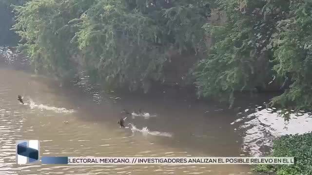 Noticias Sinaloa del 12 de marzo 2026