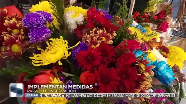 Noticias Guerrero del 13 de marzo 2026