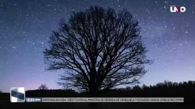 Noticias Quintana Roo del 20 de marzo 2026