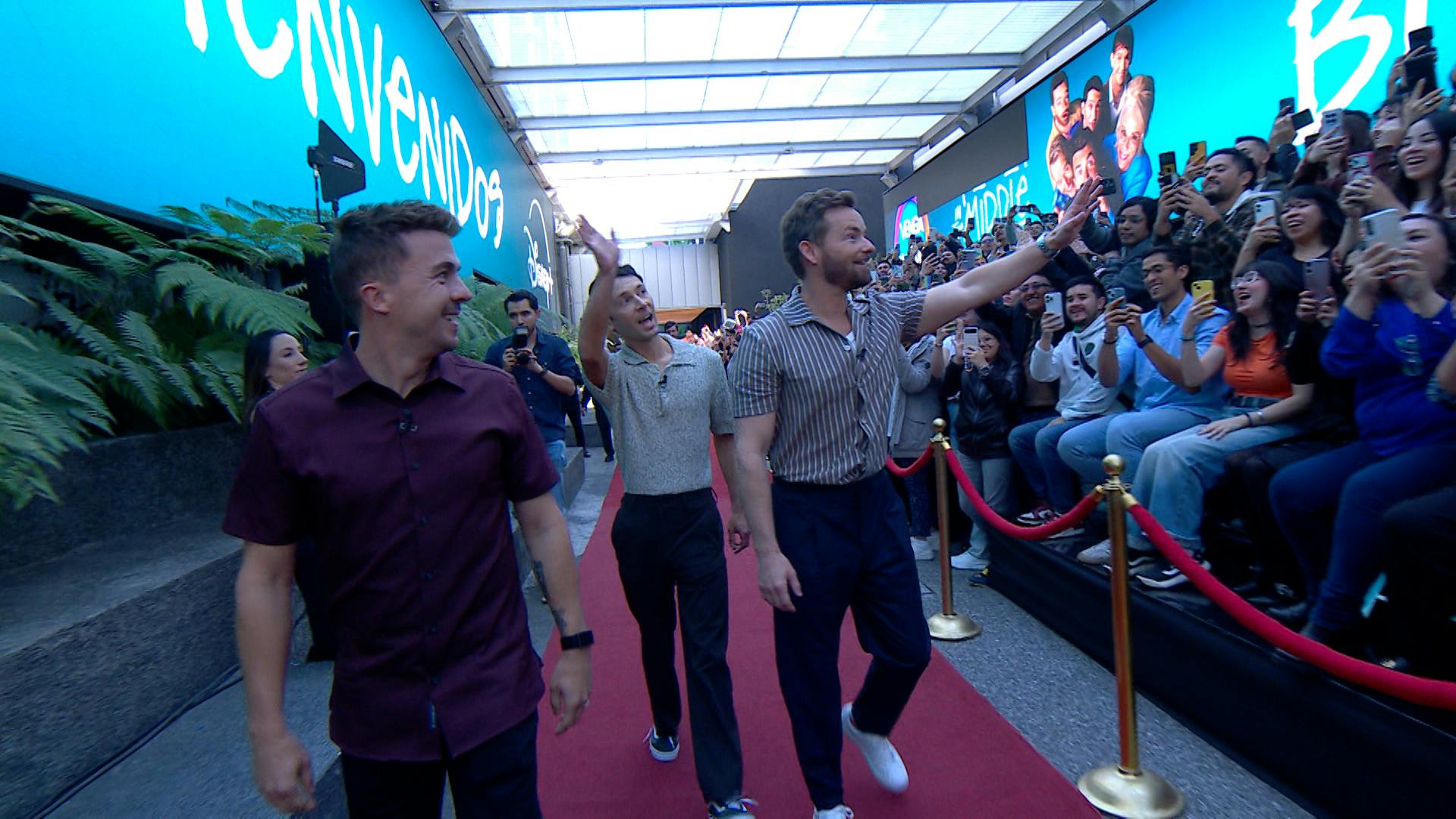 ¡Así se vivió la alfombra roja de Malcolm el de en Medio en Venga La Alegría!