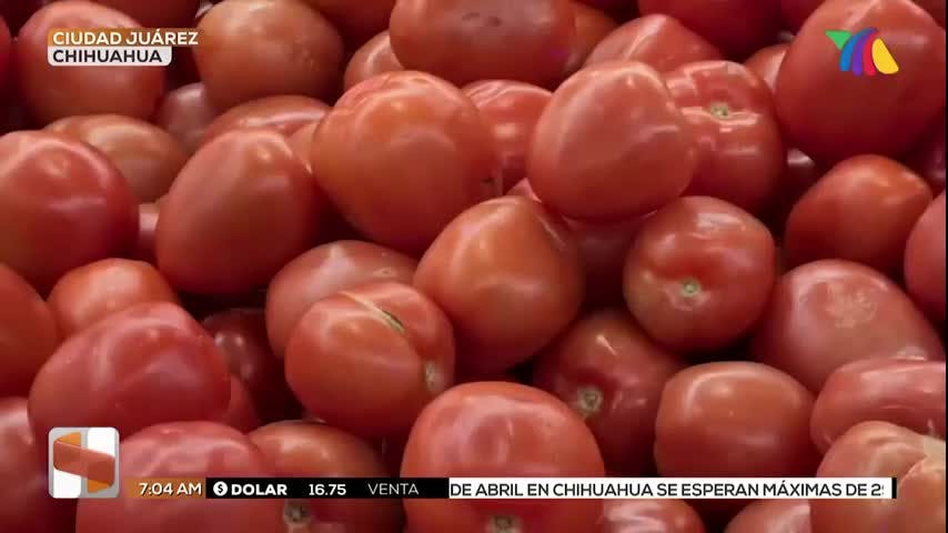 Noticias Ciudad Juárez del 15 de abril 2026