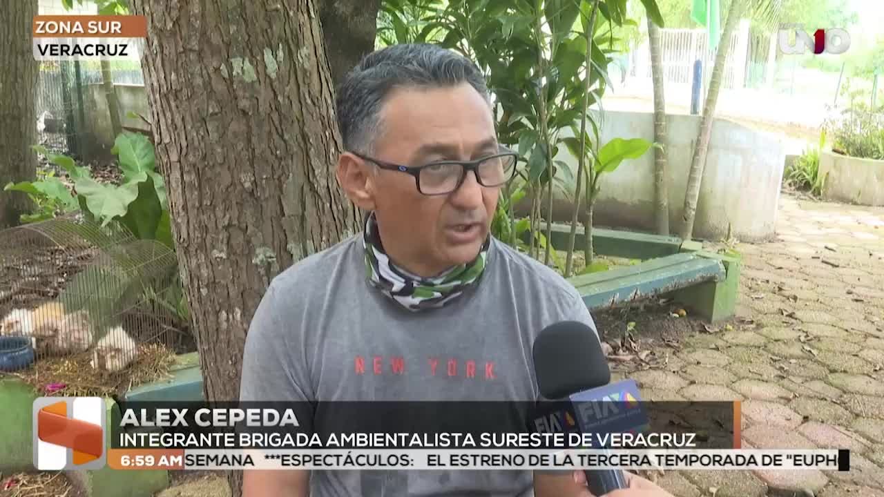 Noticias Veracruz del 16 de abril 2026
