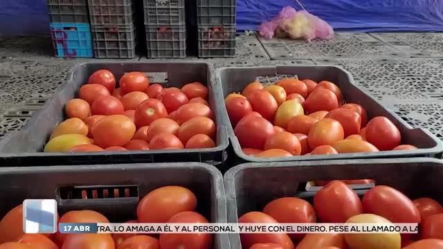 Noticias Oaxaca del 17 de abril 2026