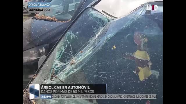 Noticias Quintana Roo del 10 de abril 2026