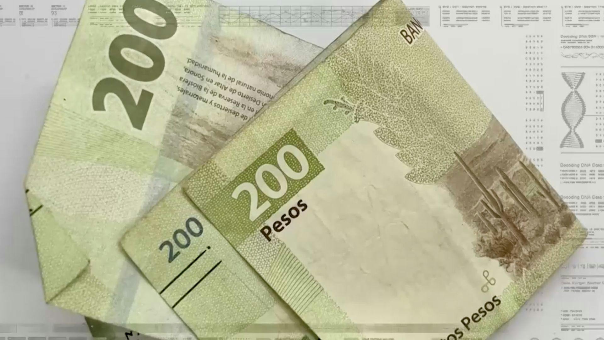Noticias Yucatán del 17 de abril 2026