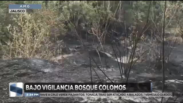 Noticias Jalisco del 6 de mayo 2026