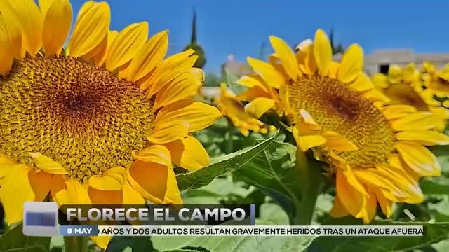 Noticias Durango del 8 de mayo 2026