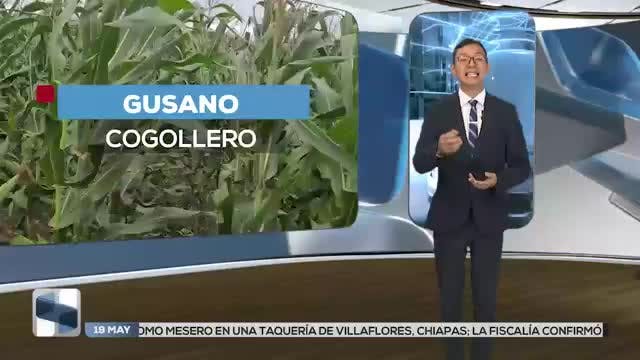 Noticias San Luis Potosí del 19 de mayo 2026