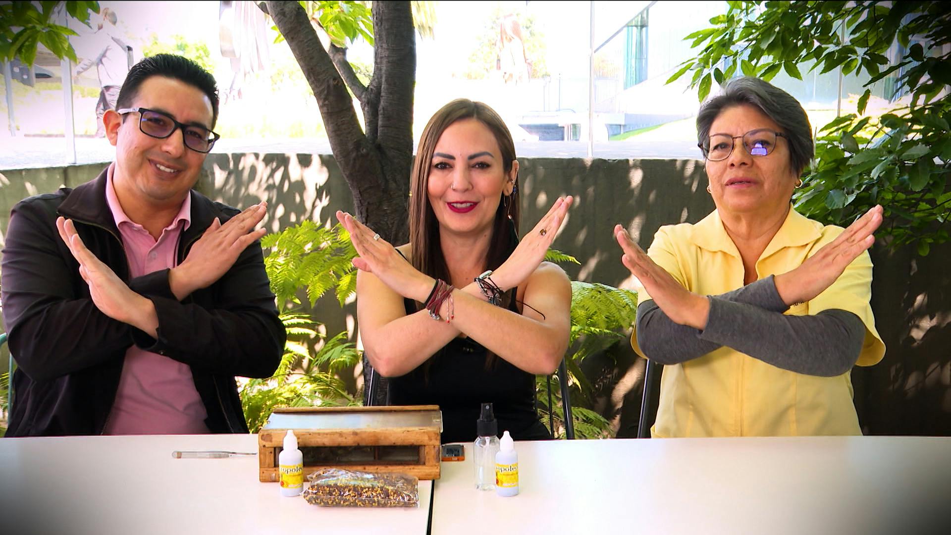Conoce la apiterapia en el Día de las Abejas, el insecto de quien depende la humanidad 