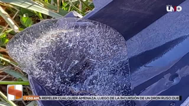 Noticias Veracruz del 1 de junio 2026