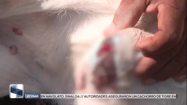 Noticias Yucatán del 27 de marzo 2026