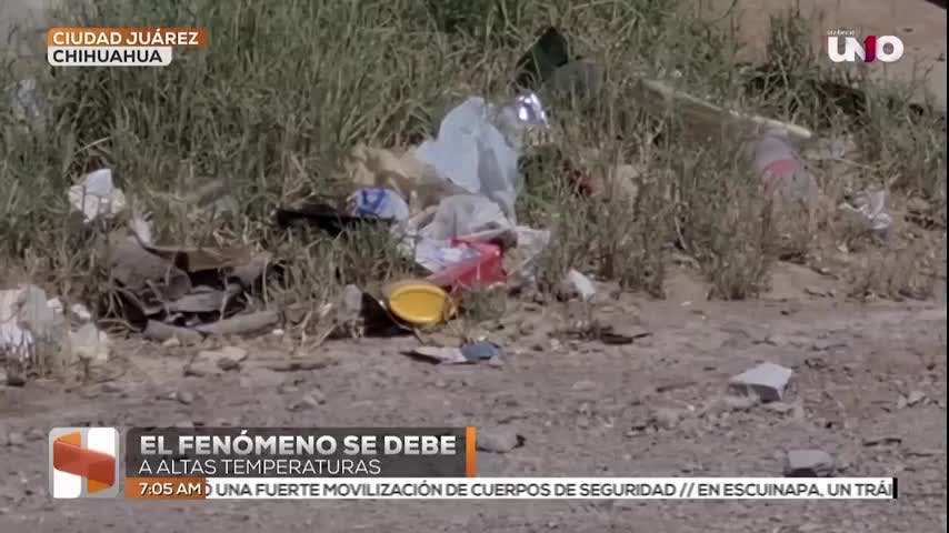 Noticias Ciudad Juárez del 12 de mayo 2026