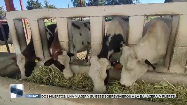 Noticias San Luis Potosí del 15 de mayo 2026