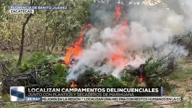 Noticias Zacatecas del 26 de mayo 2026