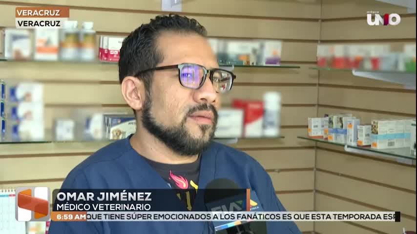 Noticias Veracruz del 28 de mayo 2026