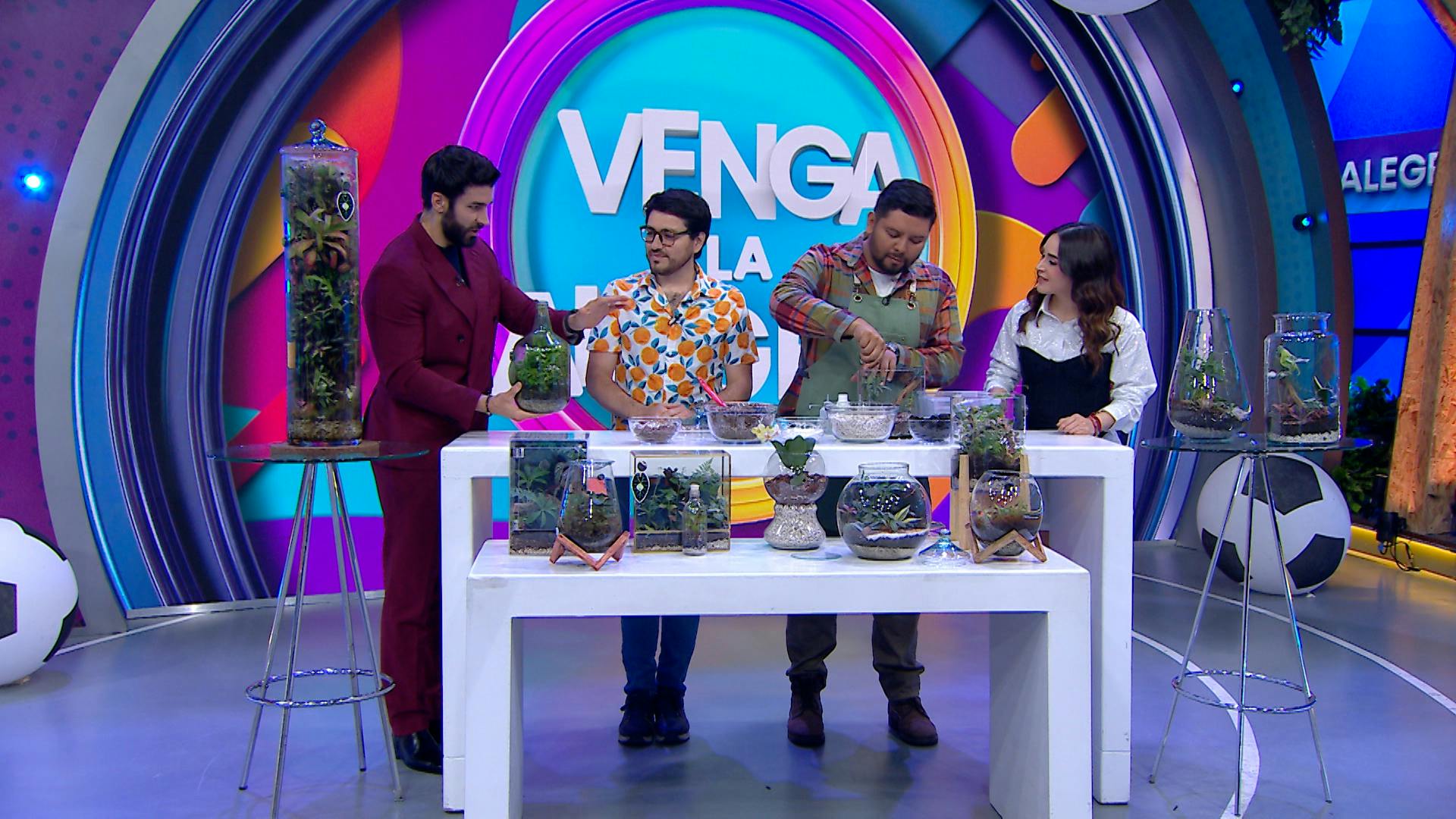 Ideas para hacer terrarios en casa; atrae paz y tranquilidad a tu hogar con este tipo de plantas