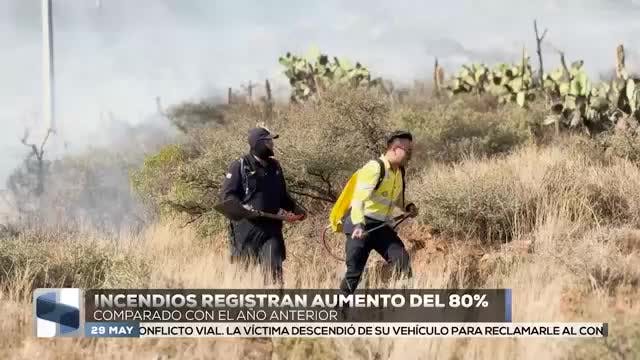 Noticias Zacatecas del 29 de mayo 2026
