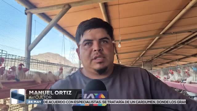 Noticias Laguna del 24 de mayo 2026