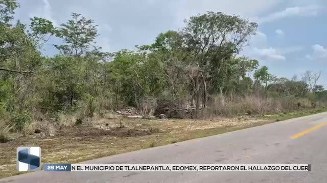 Noticias Yucatán del 29 de mayo 2026