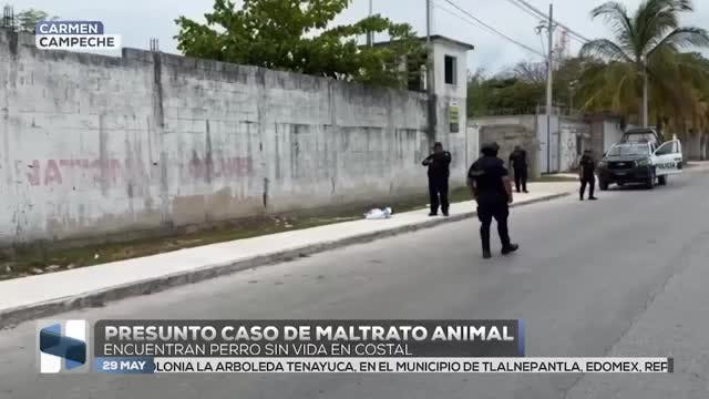 Noticias Campeche del 29 de mayo 2026
