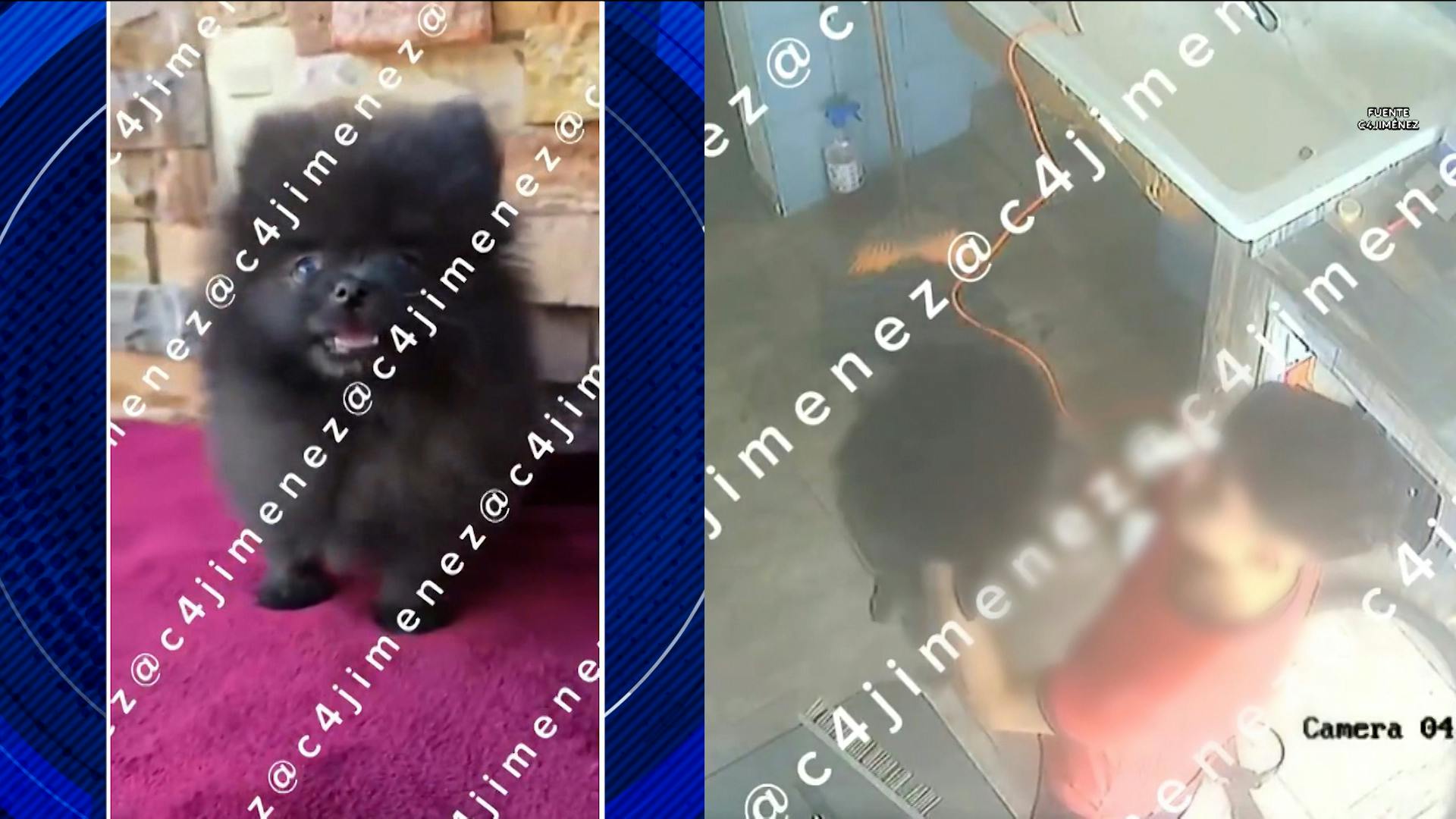 ¿Murió el perrito mientras lo bañaban? ¿Otra explosión por gas? Todo explicado Con Peras y Manzanas
