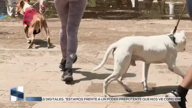 Noticias Michoacán del 3 de junio 2026