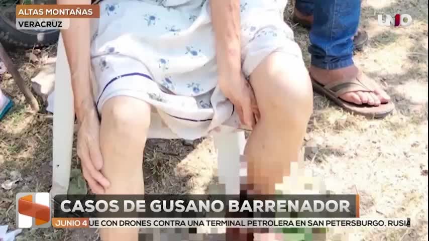 Noticias Veracruz del 4 de junio 2026