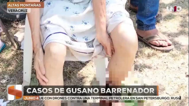 Noticias Veracruz del 4 de junio 2026