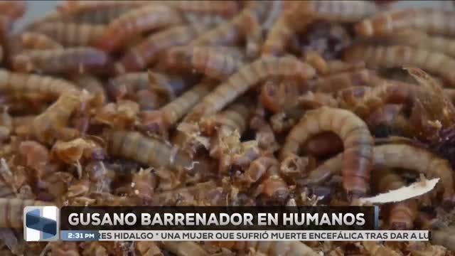 Noticias Bajío del 5 de junio 2026