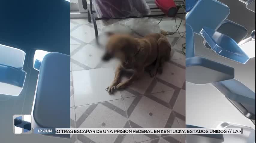 Noticias San Luis Potosí del 12 de junio 2026