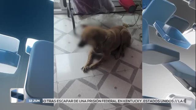 Noticias San Luis Potosí del 12 de junio 2026