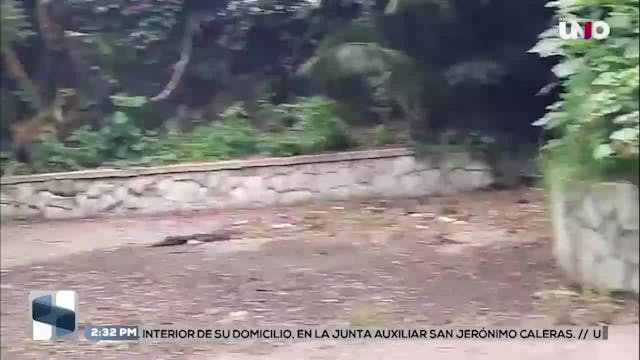 Noticias Puebla del 3 de julio 2026