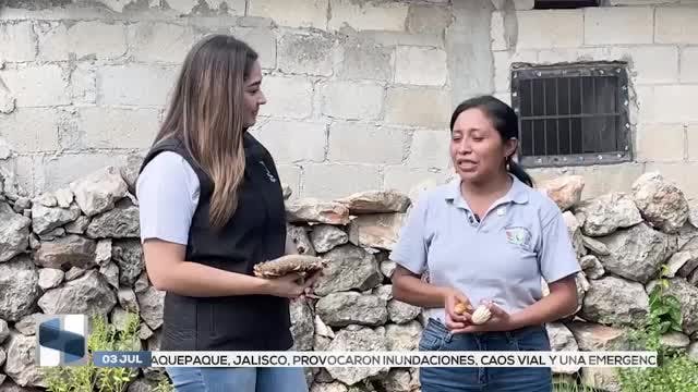 Noticias Yucatán del 3 de julio 2026