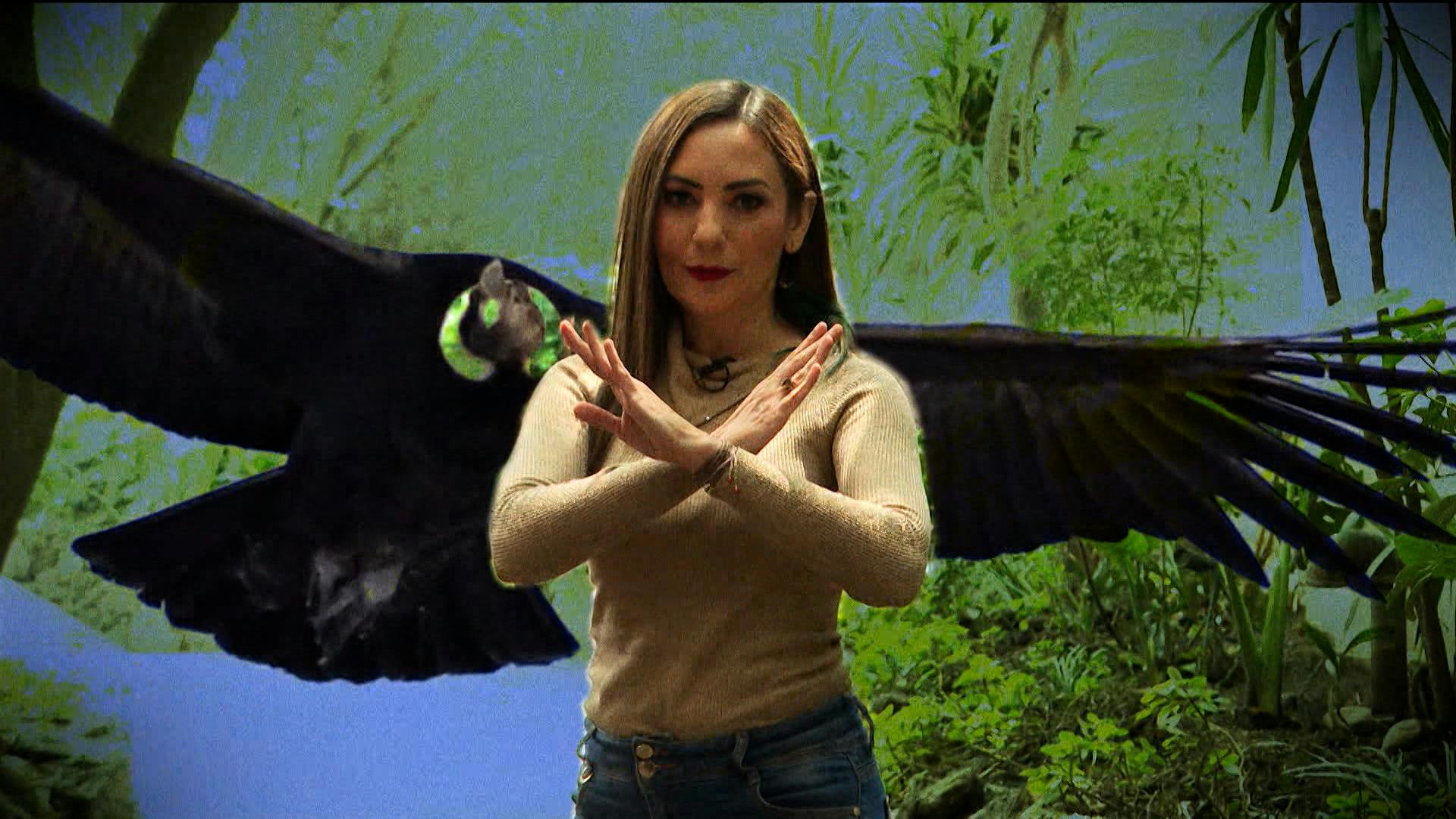 Alejandra Carvajal revela cómo el cóndor logró sobrevivir contra todo pronóstico