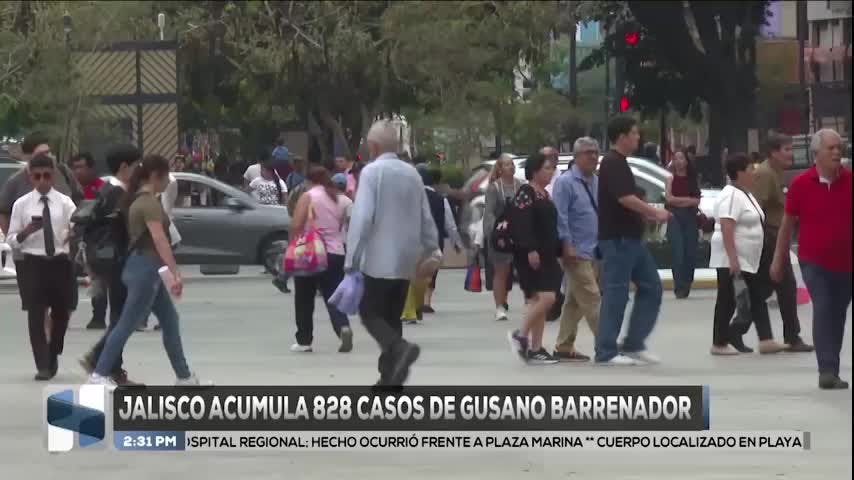 Noticias Jalisco del 8 de julio 2026