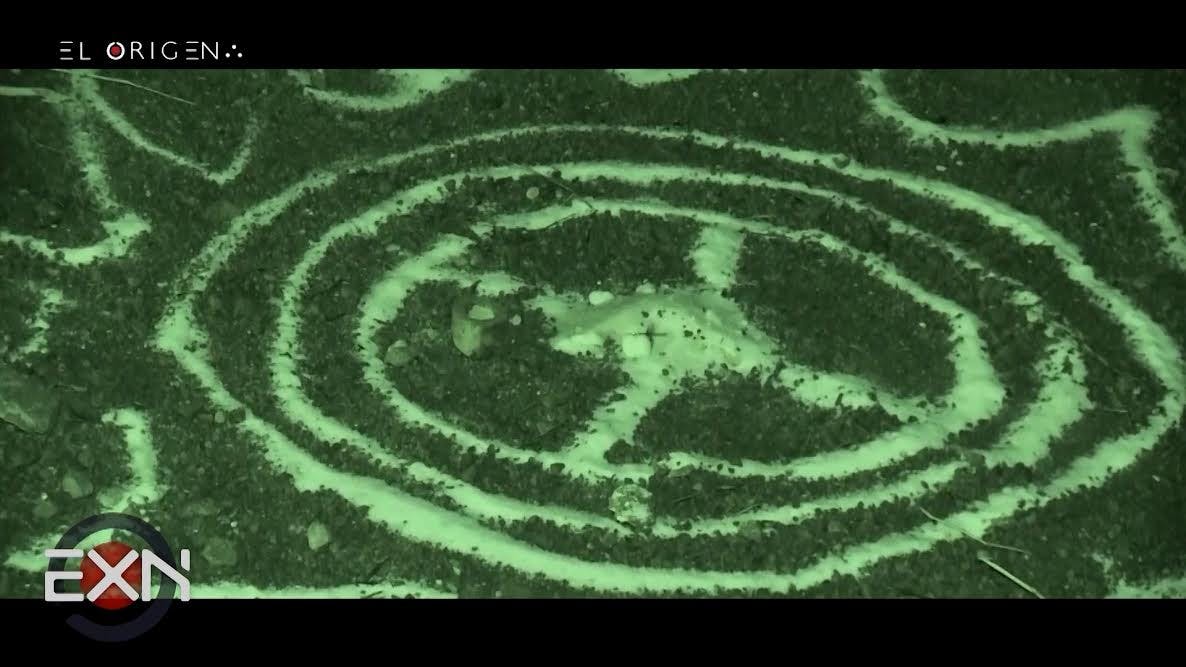 Octavio Elizondo y el equipo de Extranormal investigan la Hacienda del Catrín, un sitio marcado por presuntos fenómenos paranormales
