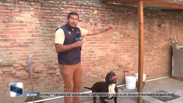 Noticias Colima del 12 de junio 2026