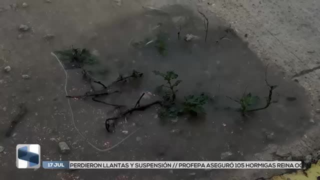 Noticias Yucatán del 17 de julio 2026
