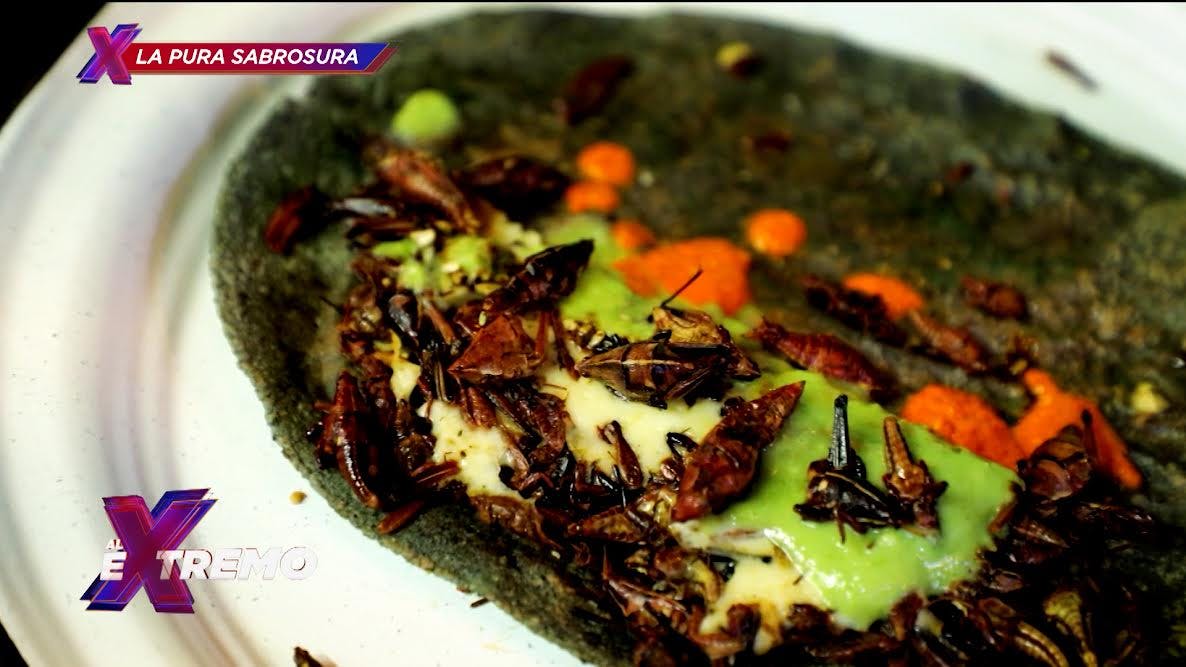 La Pura Sabrosura llega a la quesadilla de chapulines flameada que sorprende en el Mercado de Coyoacán