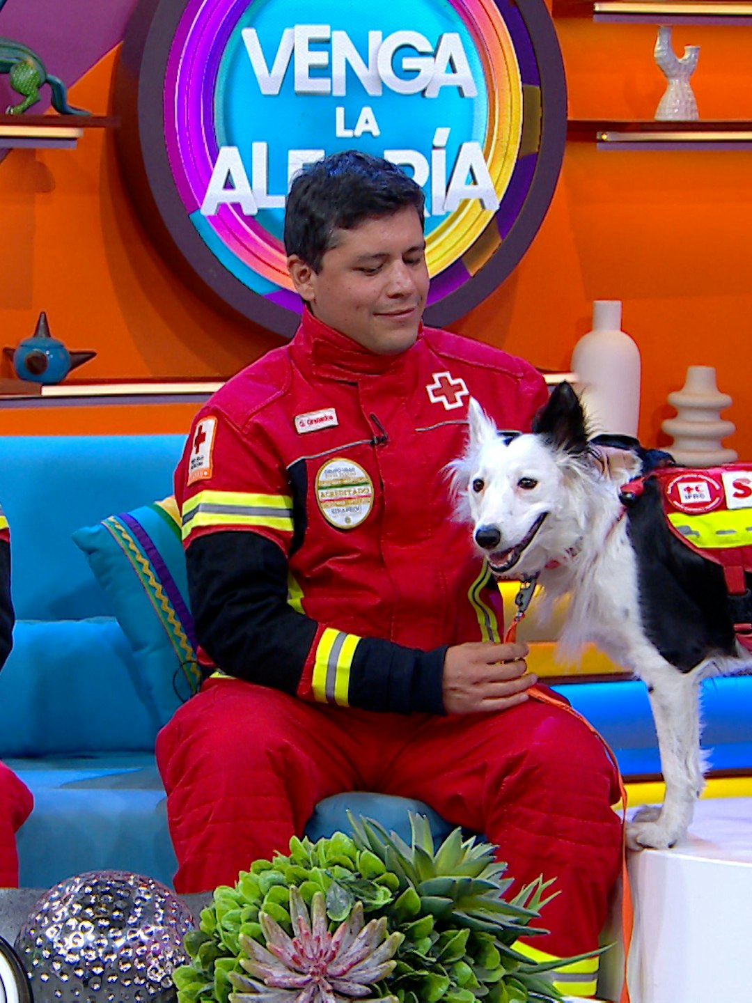 ¿Cómo se preparan los binomios de la Cruz Roja? ¡Conoce a Halley y su labor de rescate en el Día Mundial del Perro!
